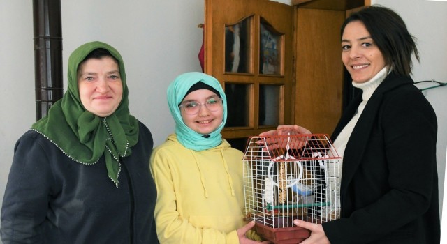 Belediyeden muhabbet kuşu istedi