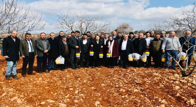 Besnide ki Antepfıstığı üreticilerine tuzak dağıtıldı
