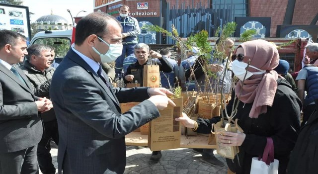 Bigada ücretsiz fidan dağıtıldı