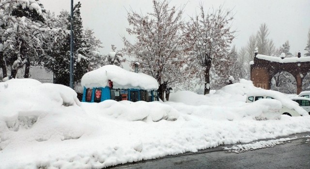 Bitliste 248 köy yolu ulaşıma kapandı