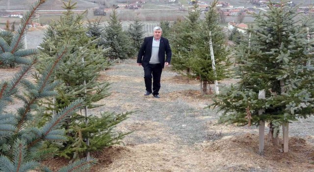 Bozkırı yeşillendiren ‘Oksijen Adam 300 bin fidanı toprakla buluşturdu