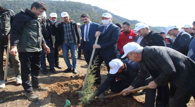 Bozyazıda fidan dikim etkinliği