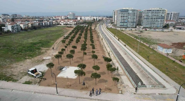 Cumhuriyet Mahallesinde 12 bin metrekarelik peyzaj çalışması