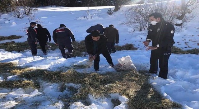 Dadayda yaban hayvanları için doğaya yem bırakıldı