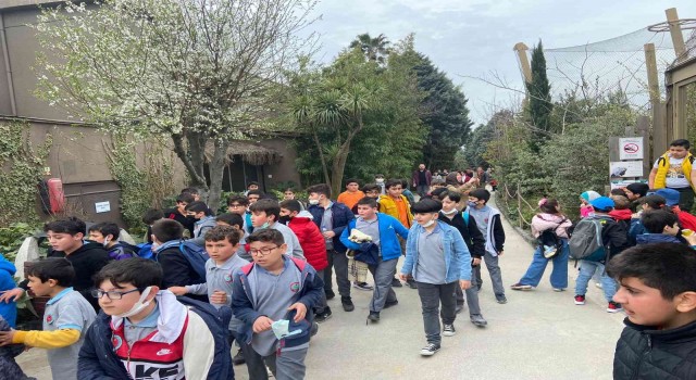 Darıcada çocuklar Hayvanat Bahçesini geziyor