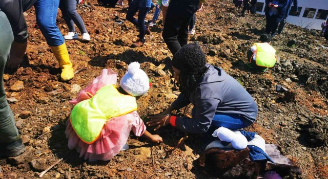 Denizlili minikler Marmariste 500 fidanı toprakla buluşturdu