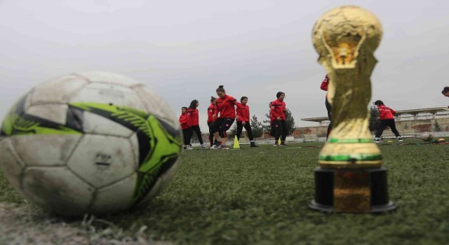 Diyarbakırın fabrika gibi okulu, milli takımlara sporcu yetiştiriyor