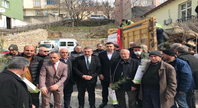 Elazığda 10 bin fidan dağıtıldı