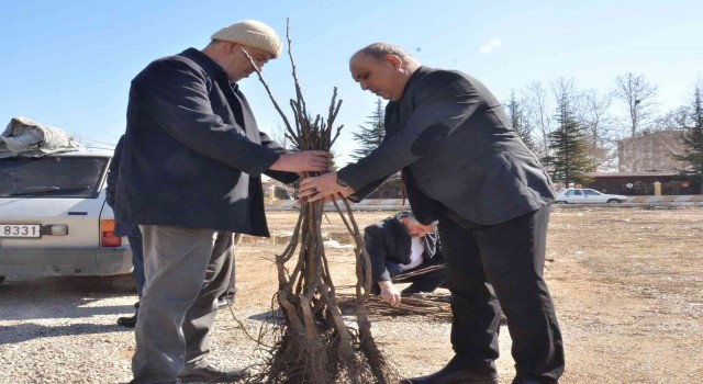 Elbistanda üreticilere 6 bin 300 adet ceviz fidanı dağıtıldı