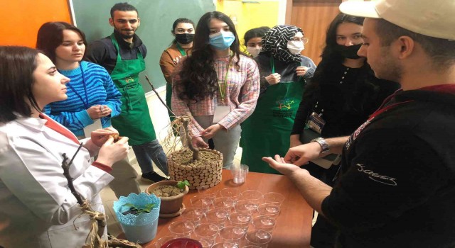 Engelliler, Erasmus öğrencilerine kilim dokumayı öğretti
