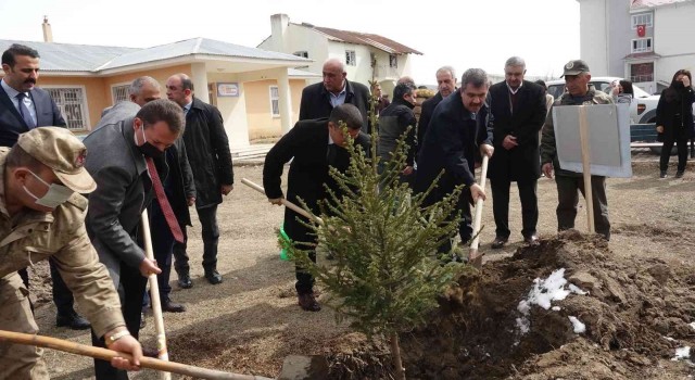 Ercişte fidan dikimi