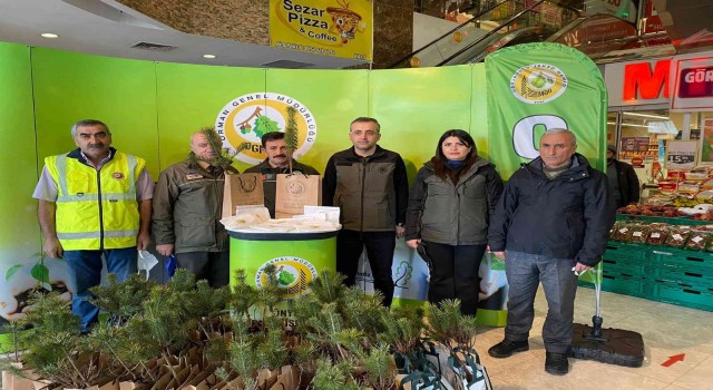 Fatsada ücretsiz olarak 2 bin fidan dağıtıldı