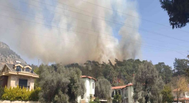 Fethiyede orman yangını