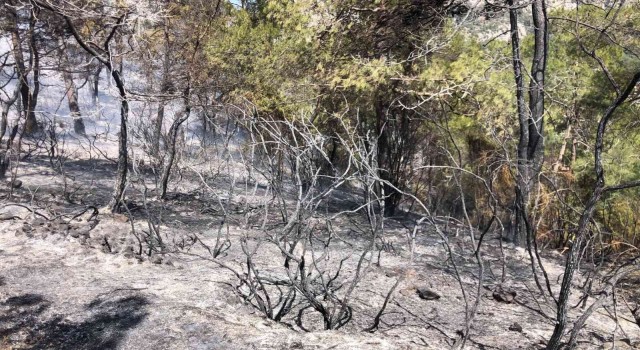 Fethiyedeki yangın kısmen kontrol altına alındı