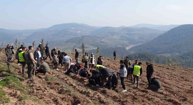 Geleceğe nefes” olacak fidanlar dikilmeye devam ediyor