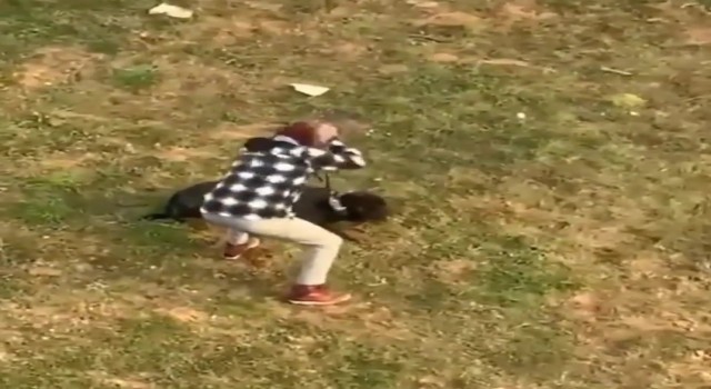 Gezdirdiği köpeği tekmeledi