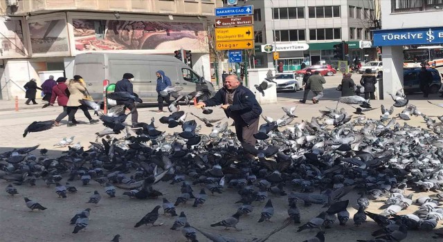 Güvercinlerin arasında yapılan besleme görenleri gülümsetti