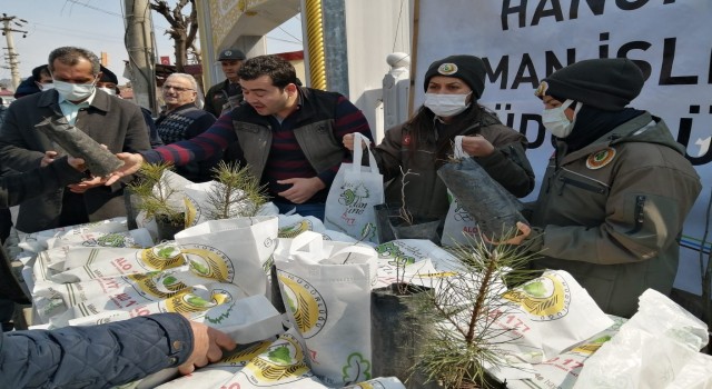 Hanönüde vatandaşlara ücretsiz fidan dağıtıldı