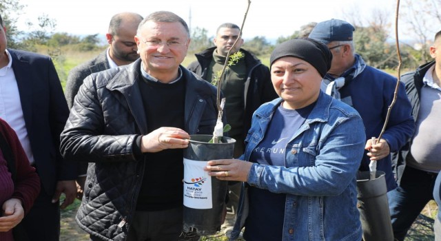 Hatay Büyükşehir Belediyesinden üreticiye destek