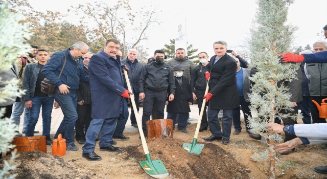 Hemşehri dernekleri fidan dikti