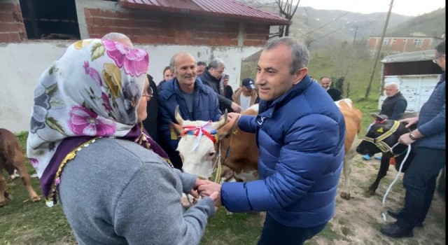 Heyelanda hayvanlarını kaybeden aileye Vali Sonelden yeni hayvan desteği