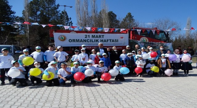 Hisarcıkta Orman Haftası etkinlikleri