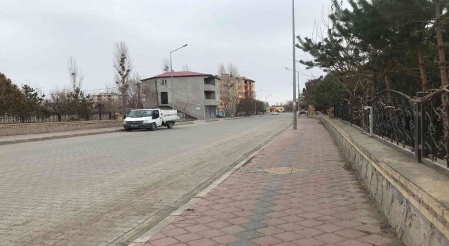 Iğdırda mavi dil hastalığı tedirgin etti