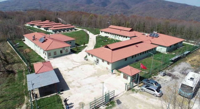 İlçelere sokak hayvanları üniteleri kurulacak