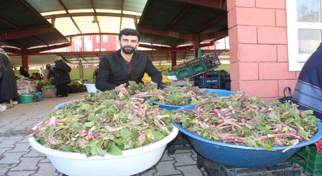 İneboluda ıspıt bolluğu yaşanıyor