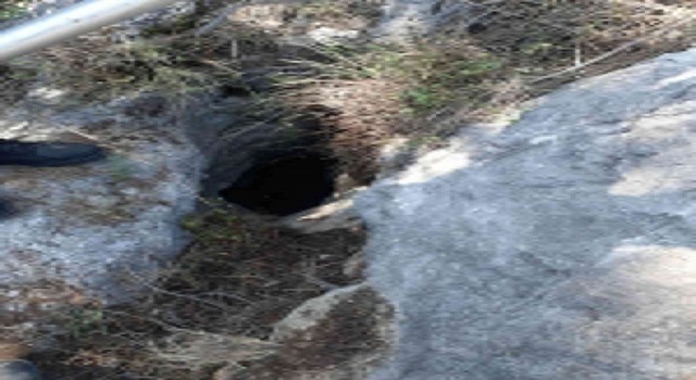 İtfaiyeden keçi kurtarma operasyonu