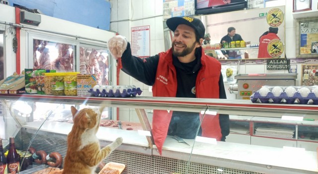 Kanadalı sosyal medya fenomeni Yeşim Kedi için Türkiyeye geldi