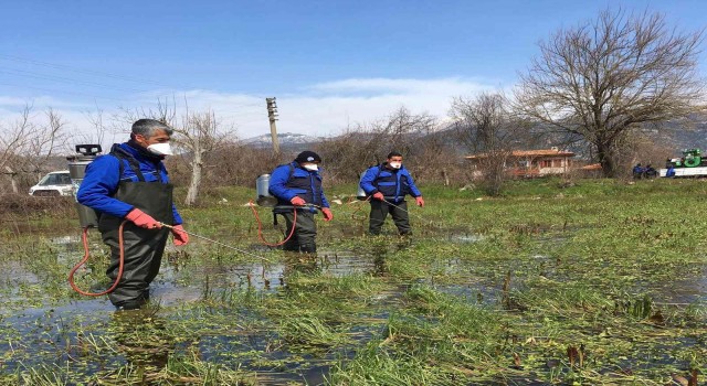 Karabağlar Yaylasında Vektörle mücadele