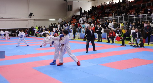 Karate grup müsabakaları Adıyamanda yapıldı