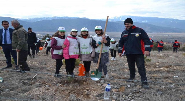 Kargıda 250 fidan toprakla buluştu