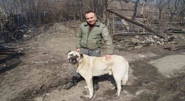 Kendilerini yangından kurtaran köpeği gözyaşları içinde sevdiler