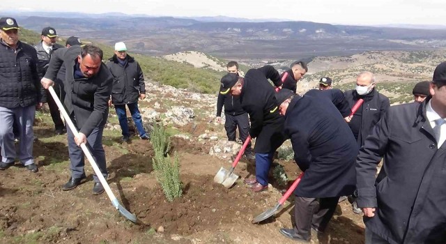 Kiliste bal ormanı oluşturuluyor