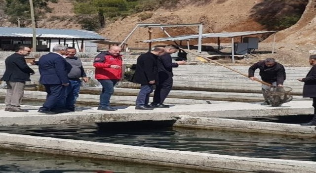 Köyceğizde alabalık ve çilek üretim alanlarında incelemelerde bulunuldu