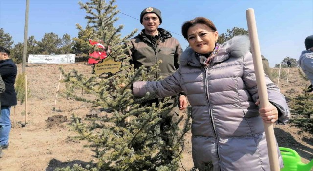Kütahya, orman ve tabiat varlığı bakımından Türkiye ve dünya ortalamasının üzerinde