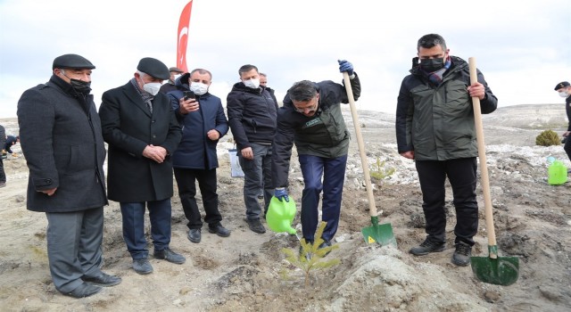 Kütahyada 10 yılda 16 milyon fidanı toprakla buluştu