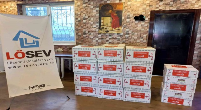 LÖSEV, Diyarbakırda kayıtlı vatandaşlara et dağıttı