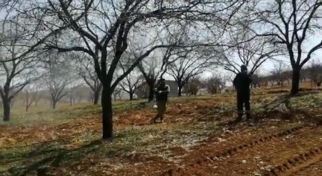 Malatyada çiftçiler kayısı ağaçlarını ilaçlıyor