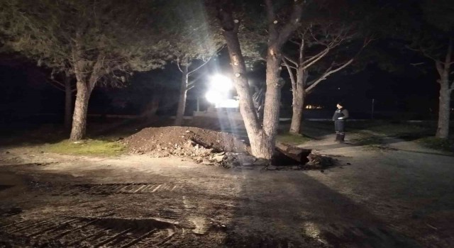 Manisa Büyükşehirden Akhisarda ağaç duyarlılığı