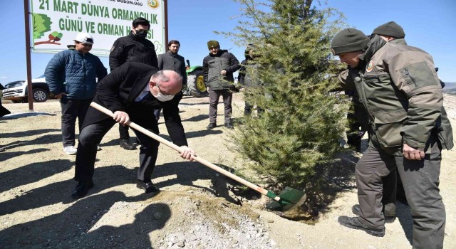 Manisada 7 bin fidan toprakla buluştu