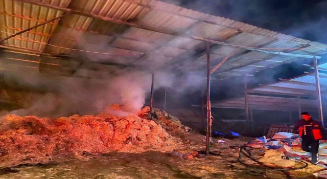 Manisada besi çiftliğinde yangın