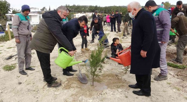 Mersinde 35 hektar alana 45 bin fidan dikildi