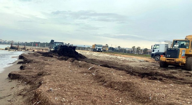 Millet Bahçesi sahiline vuran atıklar toplandı
