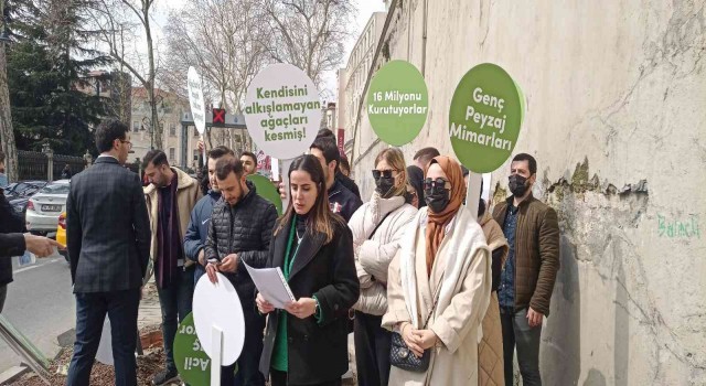 Mimari ve Şehircilik Platformundan İBBye Çınar ağacı tepkisi