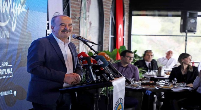 Mudanyada belediye arazileri ayçiçeği tarlası olacak