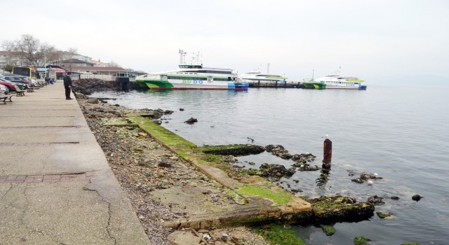 Mudanyada deniz çekildi acı hatıralar canlandı