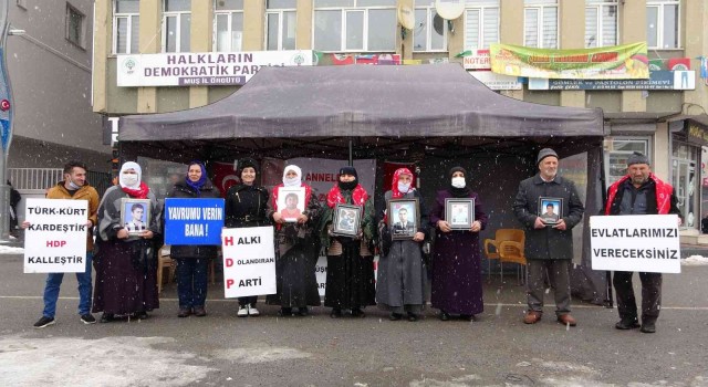 Muşta evlat nöbeti tutan ailelerin sayısı 29a yükseldi